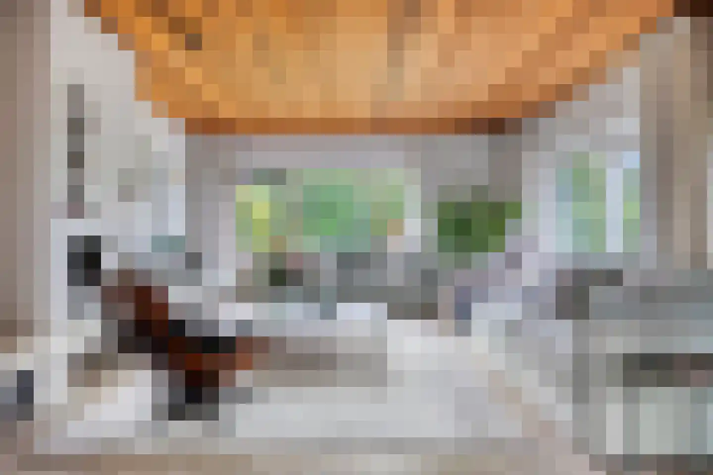 Boksdoorn 6 Krimpen aan den IJssel thumbnail 4