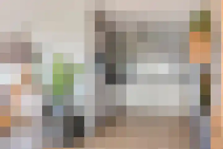Boksdoornerf 140 Tilburg thumbnail 10