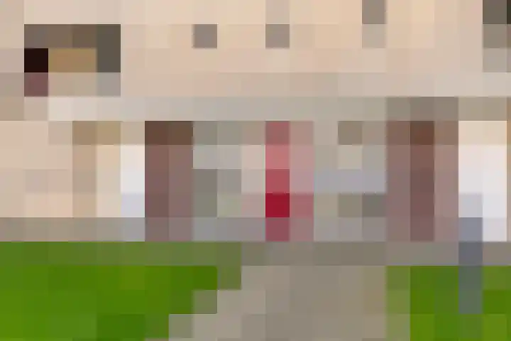 Boksdoornerf 140 Tilburg thumbnail 33