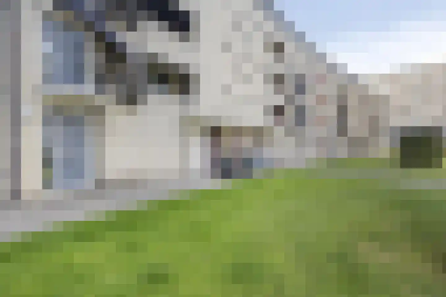 Boksdoornerf 90 Tilburg thumbnail 4