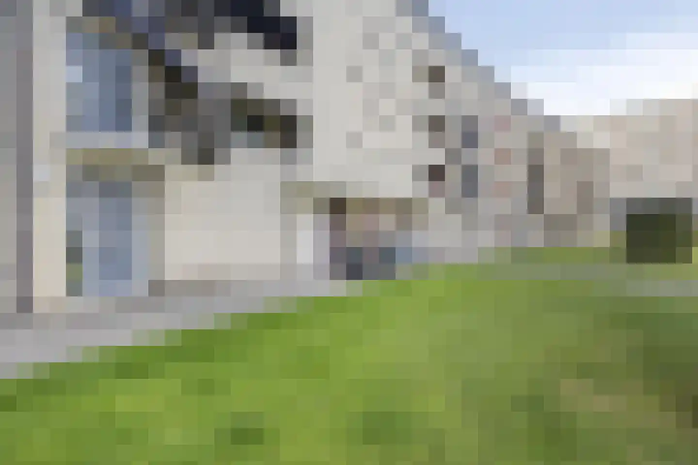 Boksdoornerf 90 Tilburg thumbnail 6