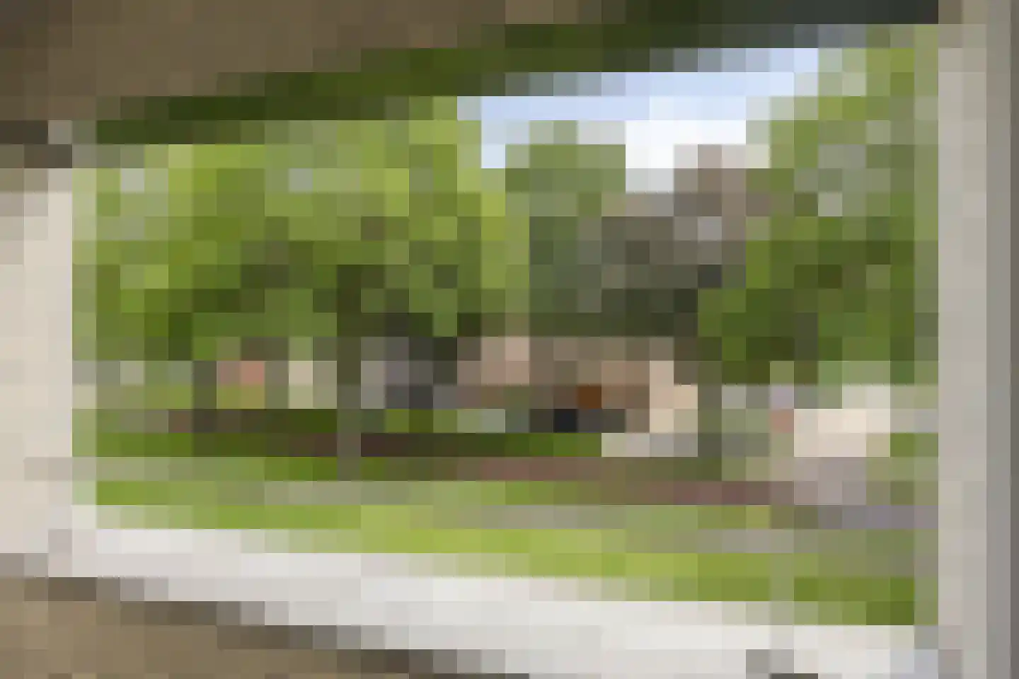 Boksdoornerf 92 Tilburg thumbnail 13