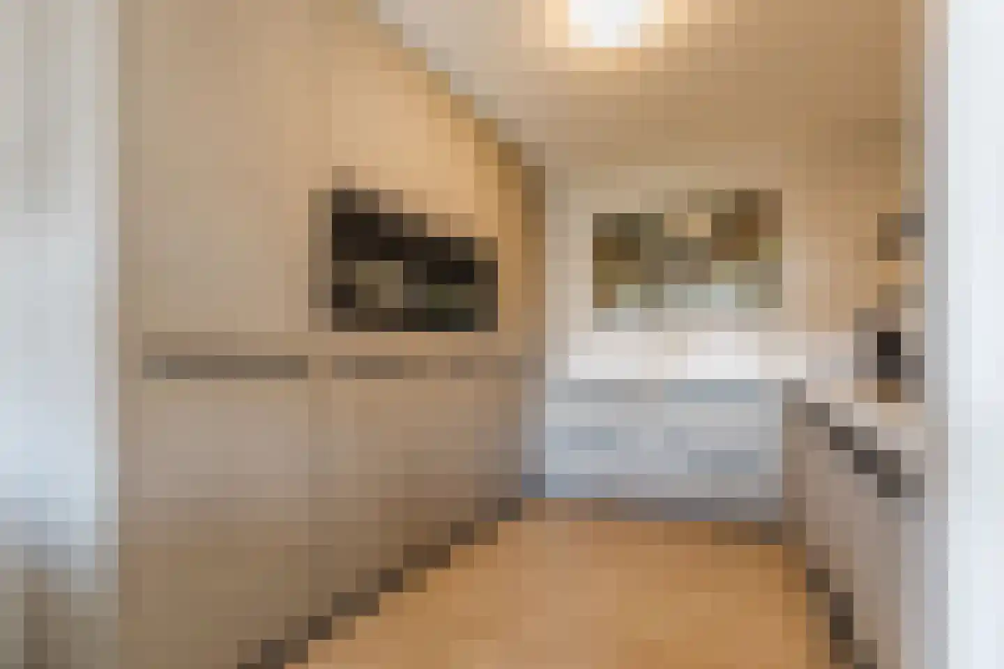 Boksdoornerf 98 Tilburg thumbnail 12