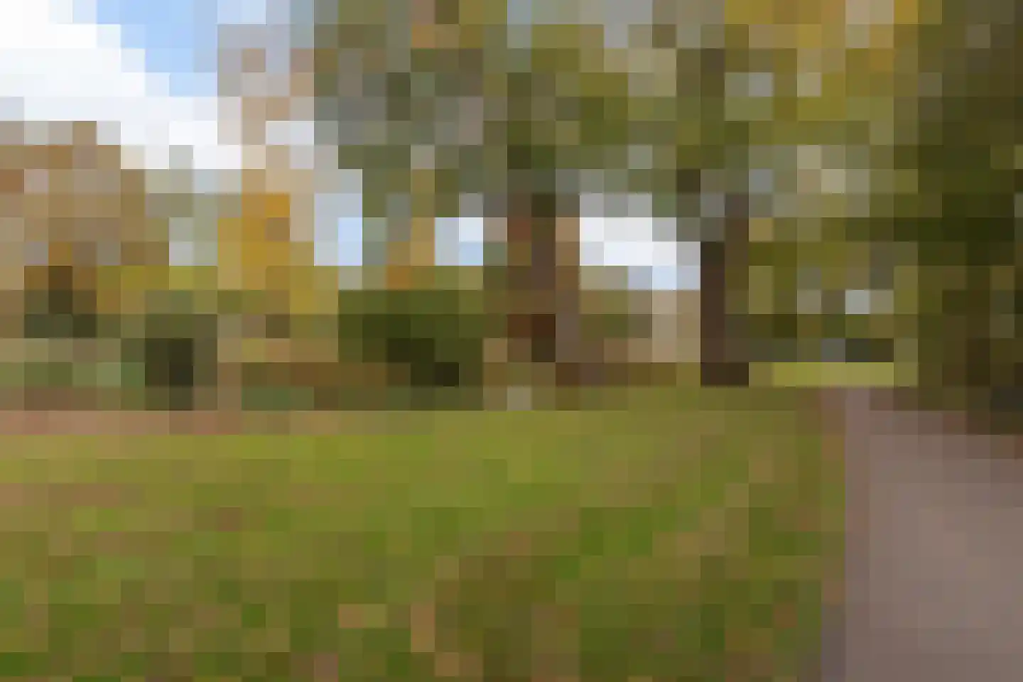 Boksdoornpark 35 Ridderkerk thumbnail 19
