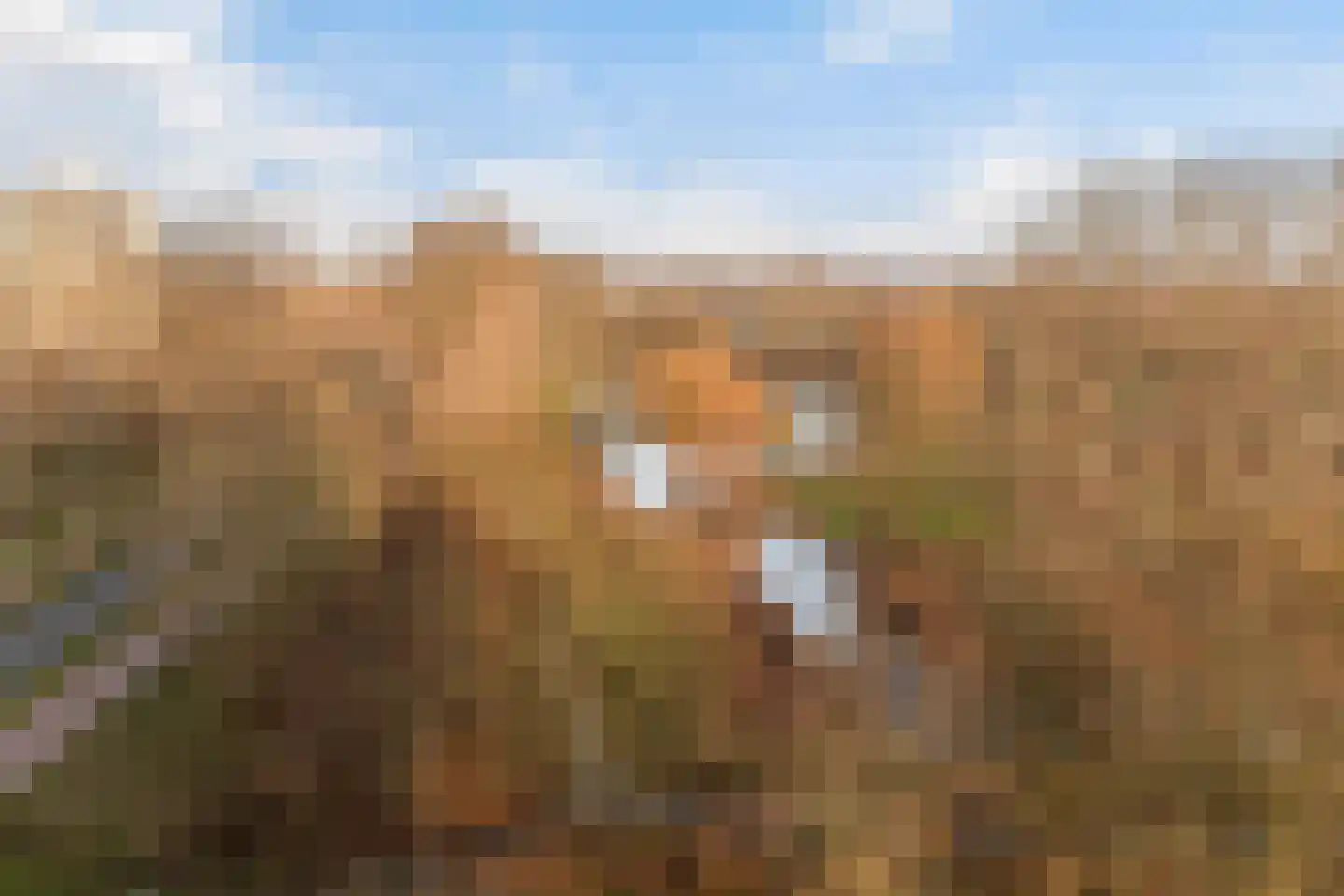 Boksdoornpark 35 Ridderkerk thumbnail 6