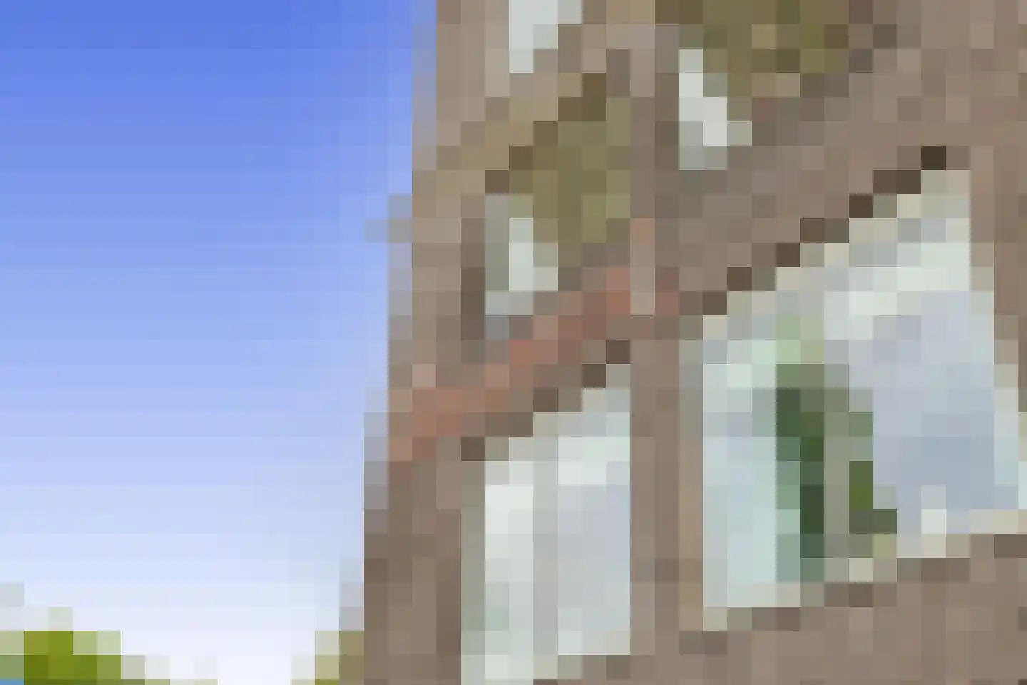 Boksdoornpark 42 Ridderkerk thumbnail 27