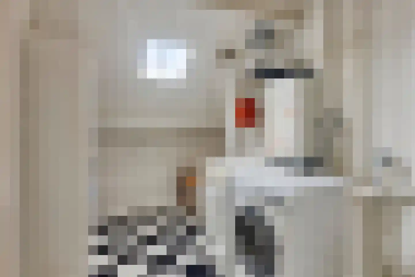 Boksdoornplantsoen 37 Schoorl thumbnail 27