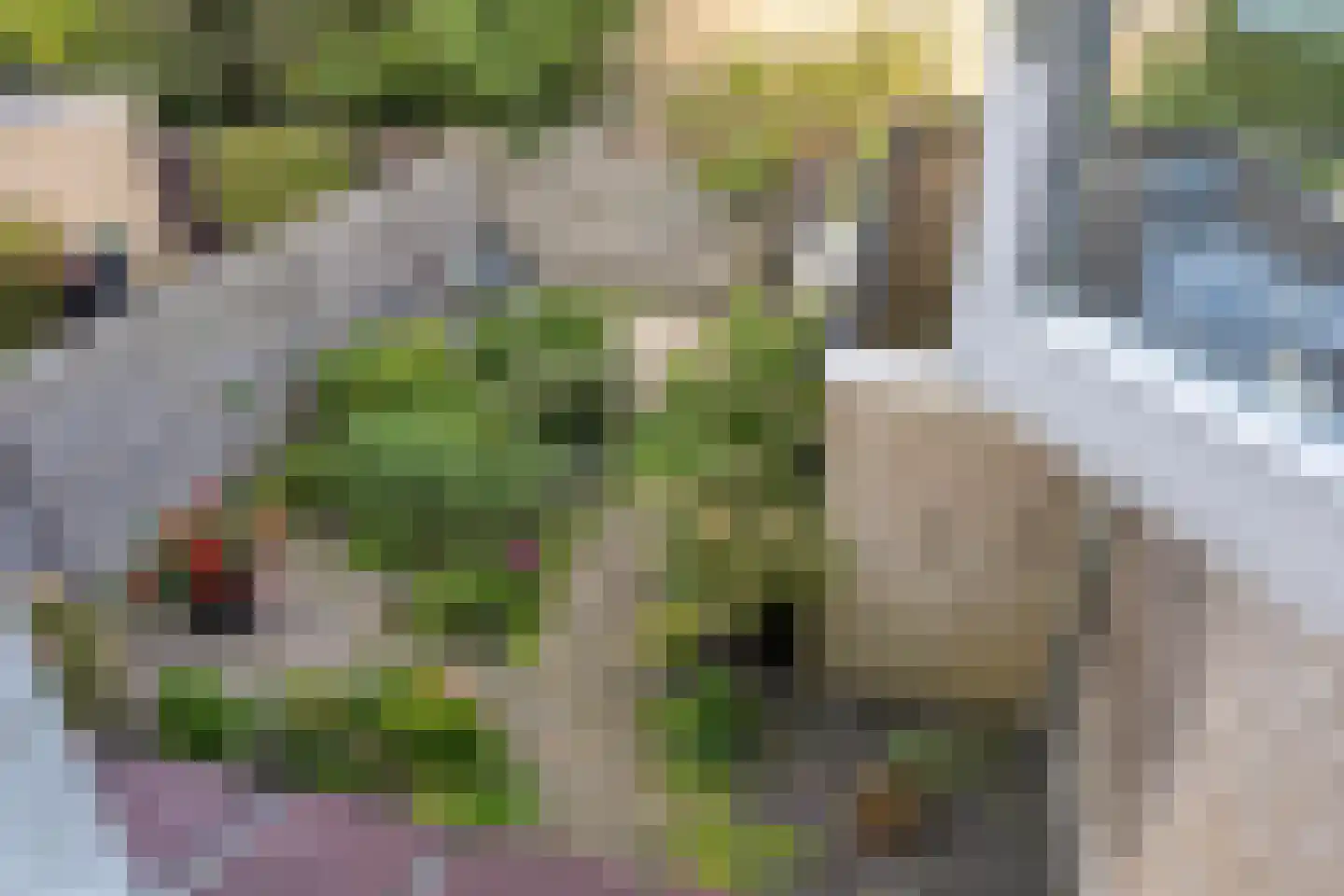 Boksdoornplantsoen 37 Schoorl thumbnail 33