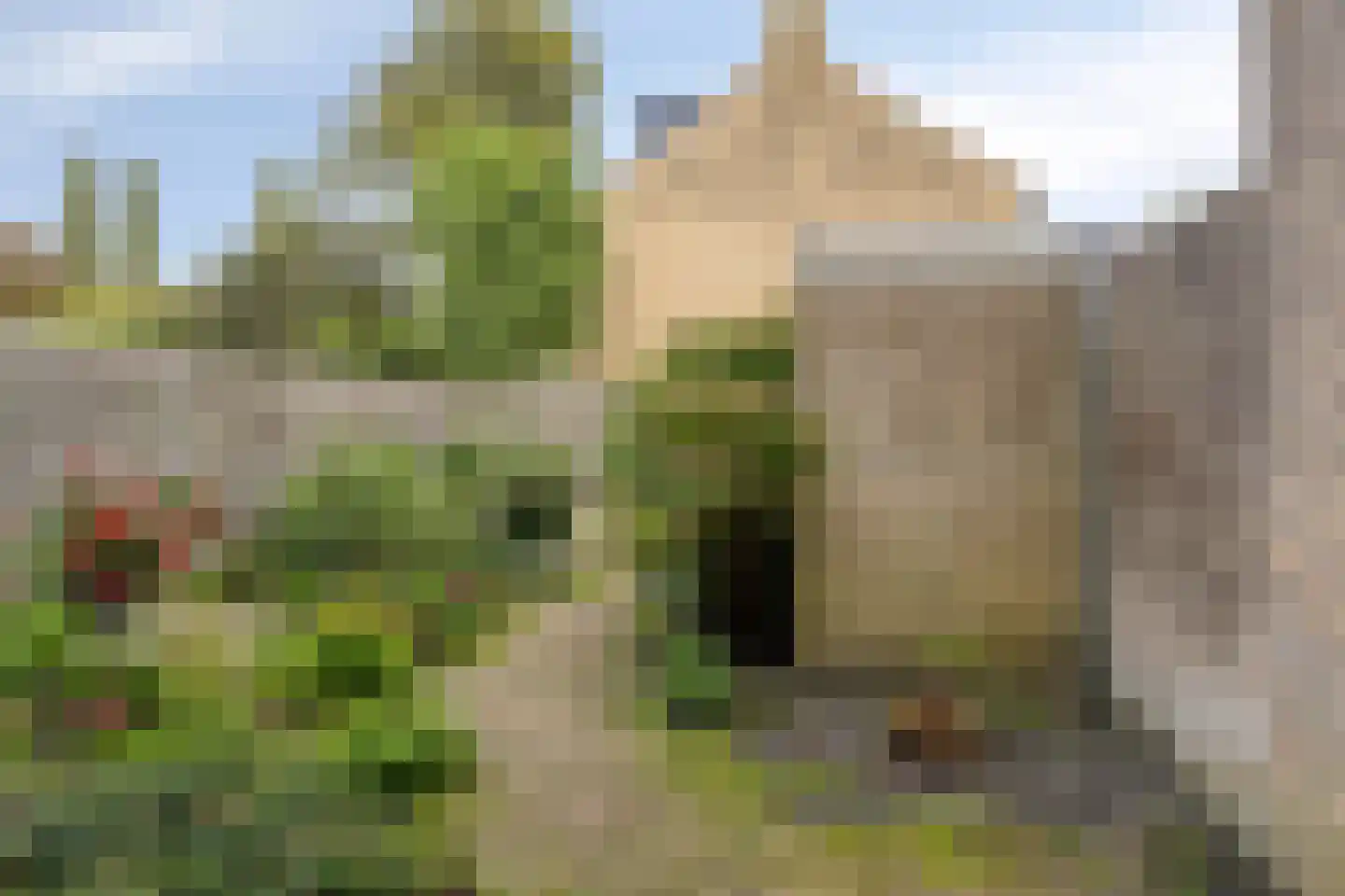 Boksdoornplantsoen 37 Schoorl thumbnail 34