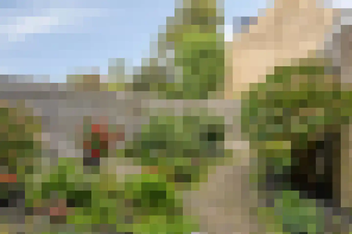 Boksdoornplantsoen 37 Schoorl thumbnail 35