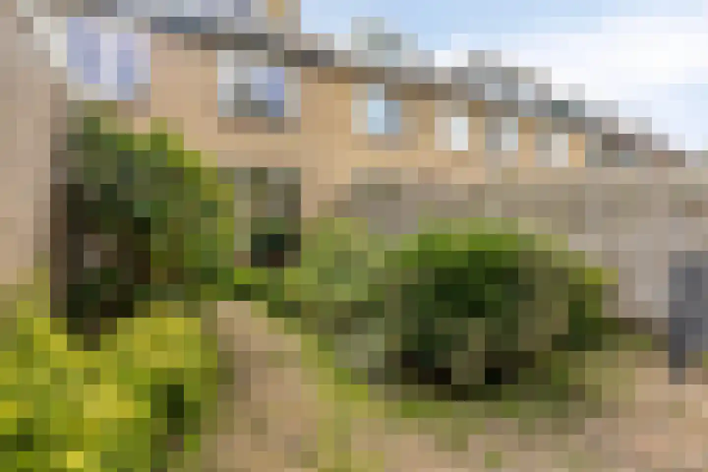 Boksdoornplantsoen 37 Schoorl thumbnail 37