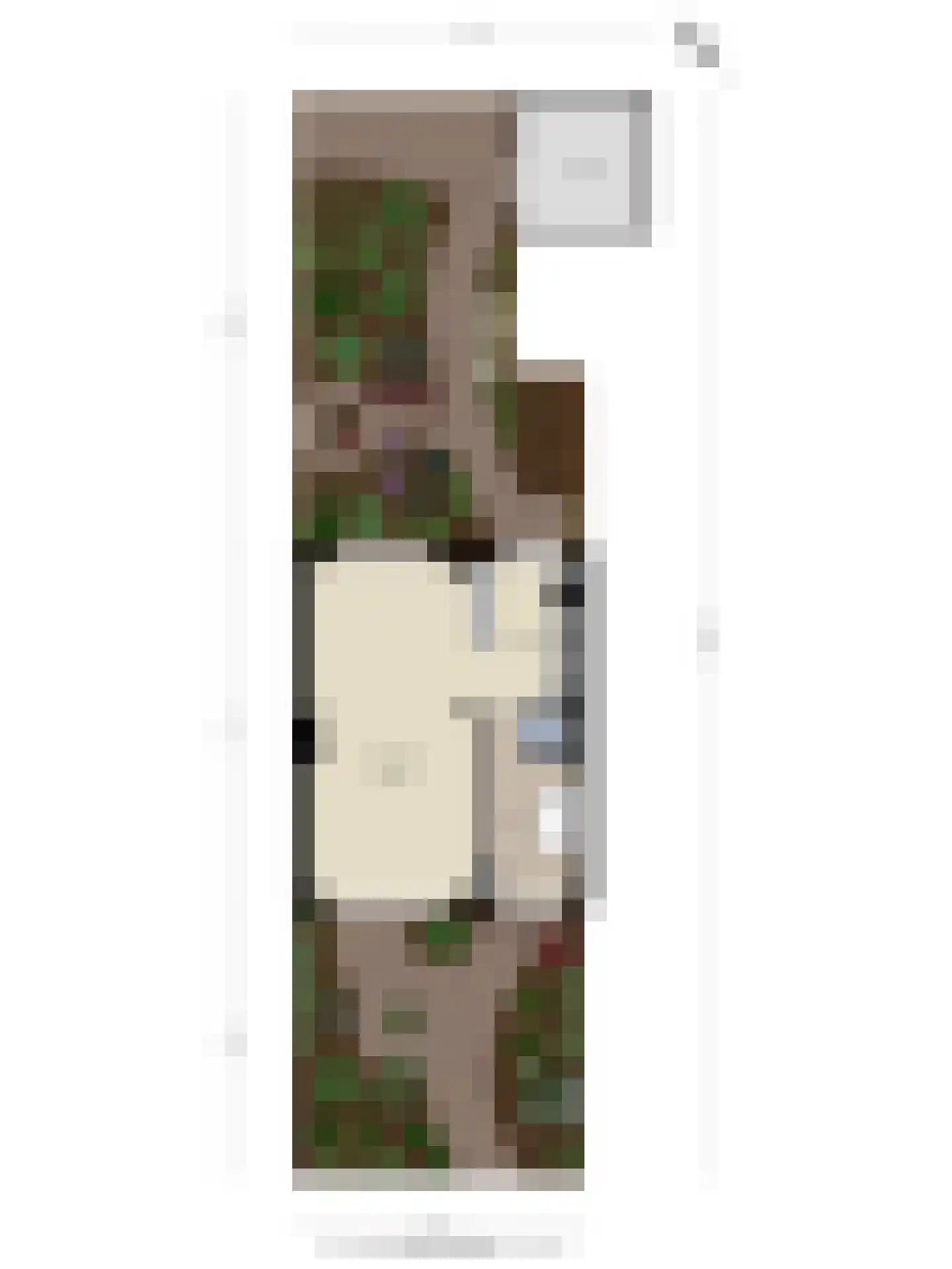 Boksdoornplantsoen 37 Schoorl thumbnail 45