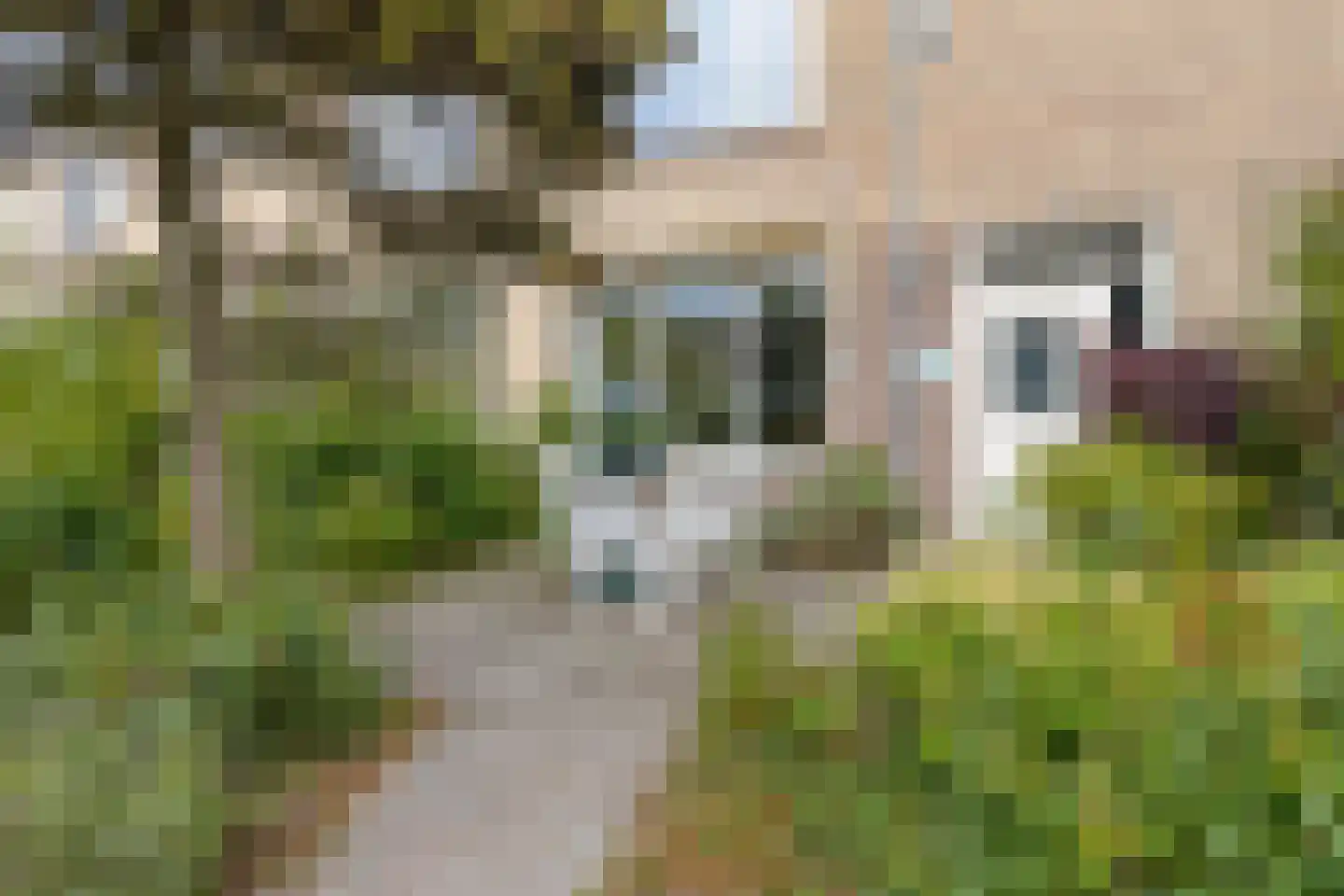 Boksdoornplantsoen 37 Schoorl thumbnail 6