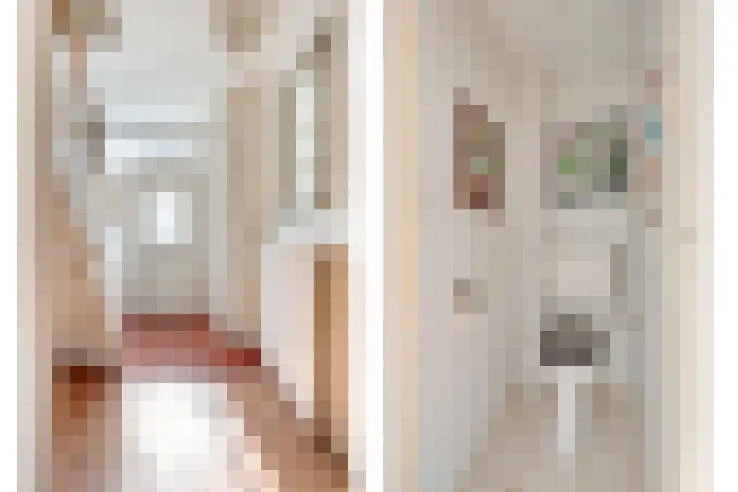 Boksdoornplantsoen 37 Schoorl thumbnail 7