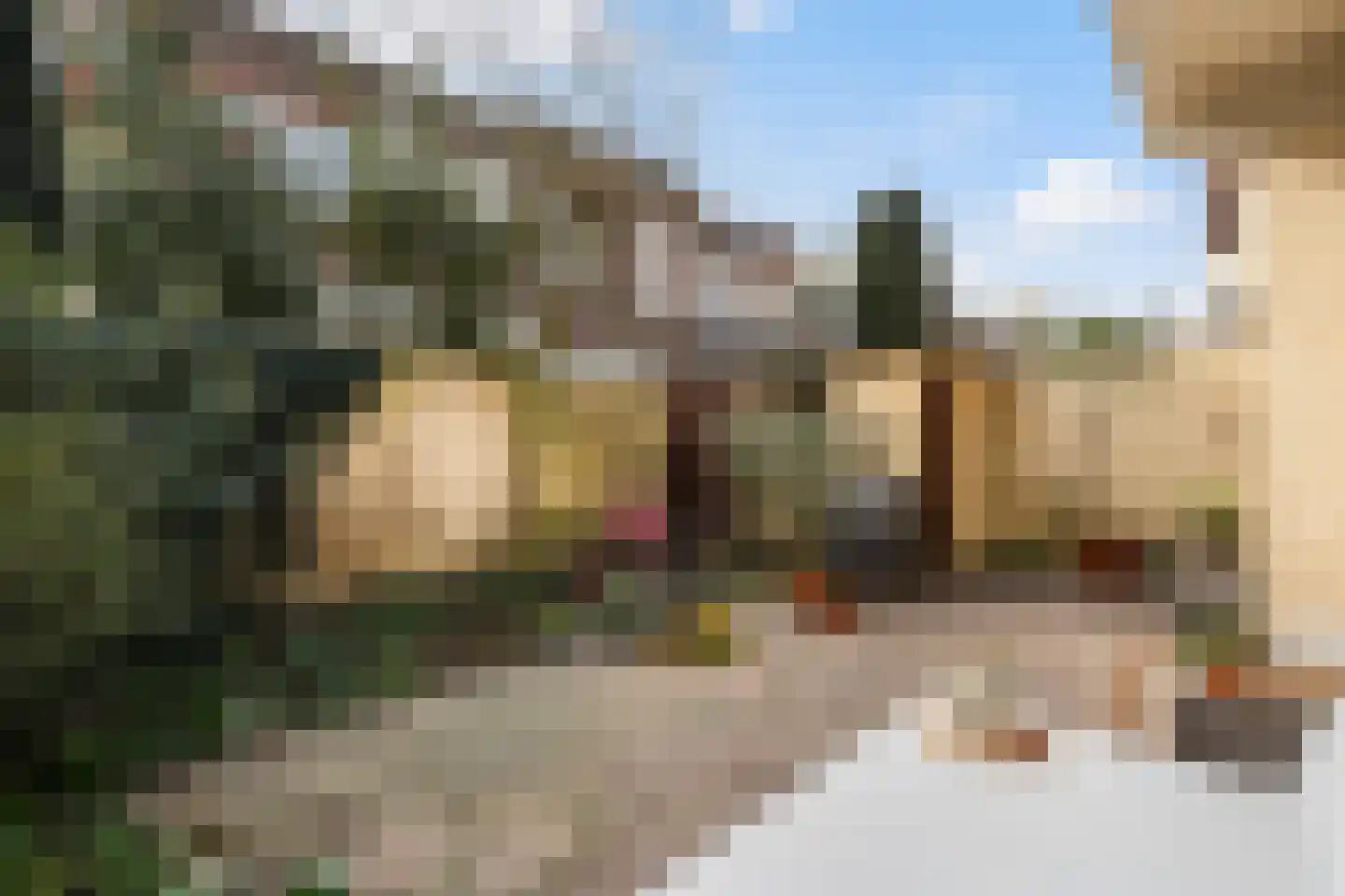 Boksdoornstraat 12 Den Haag thumbnail 20