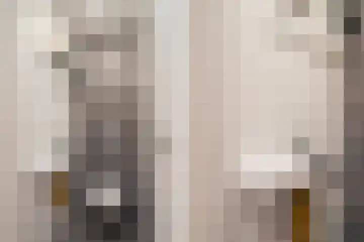 Boksdoornstraat 12 Den Haag thumbnail 7