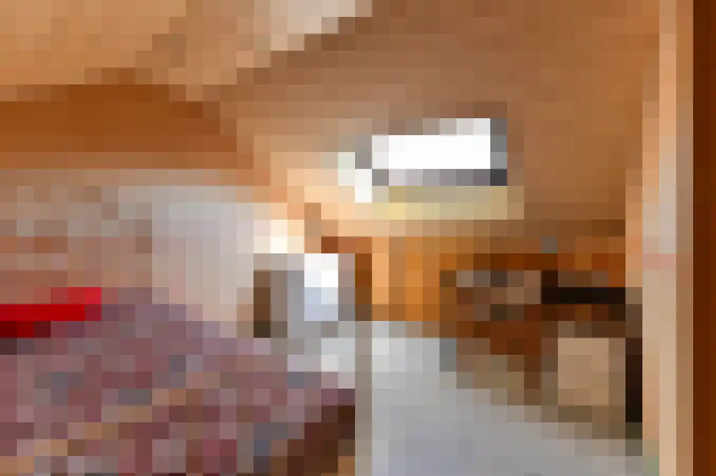 Boksdoornstraat 16 Venlo thumbnail 11