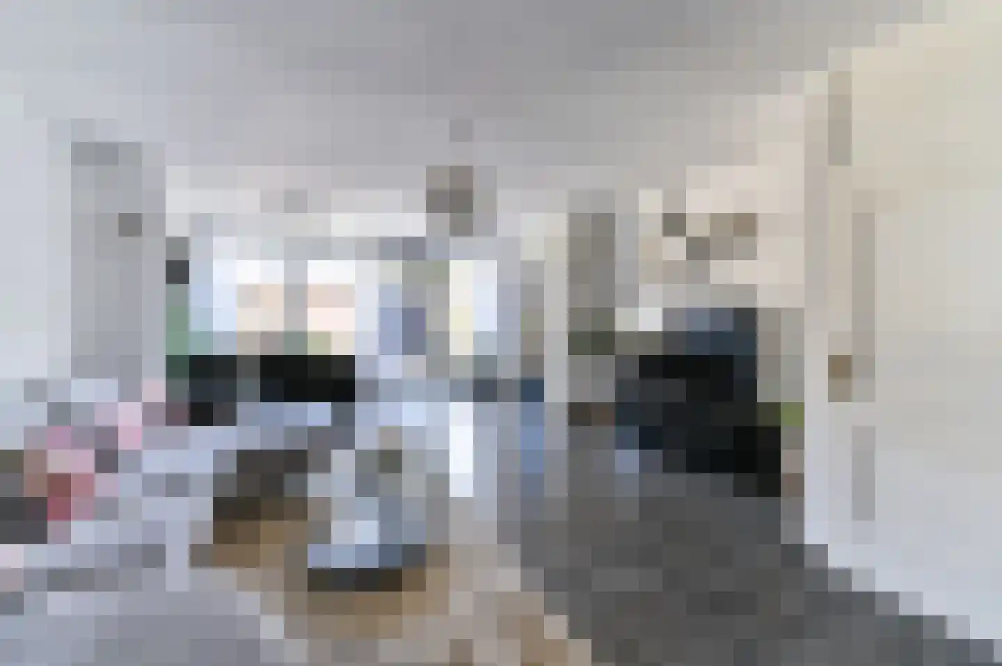 Boksdoornstraat 16 Venlo thumbnail 5