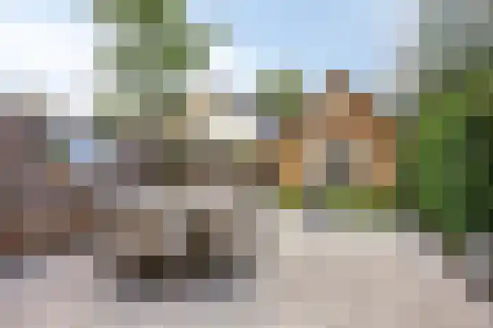 Boksdoornstraat 21 Ridderkerk thumbnail 10