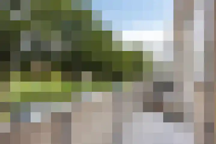 Boksdoornstraat 21 Ridderkerk thumbnail 27