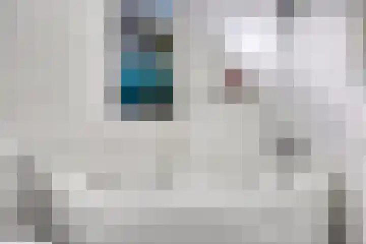 Boksdoornstraat 21 Ridderkerk thumbnail 39