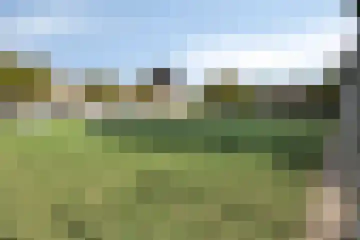 Boksdoornstraat 21 Ridderkerk thumbnail 44