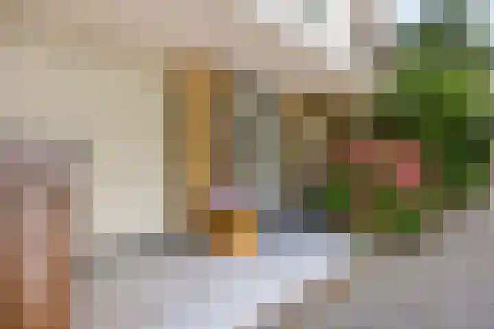 Boksdoornstraat 21 Ridderkerk thumbnail 5