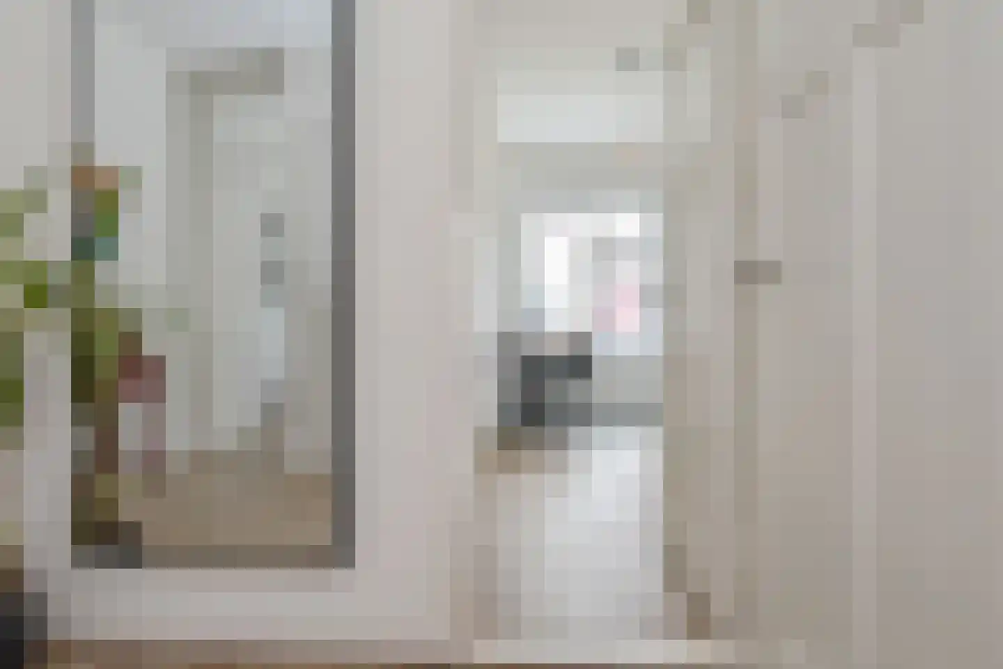Boksdoornstraat 24 Den Haag thumbnail 9
