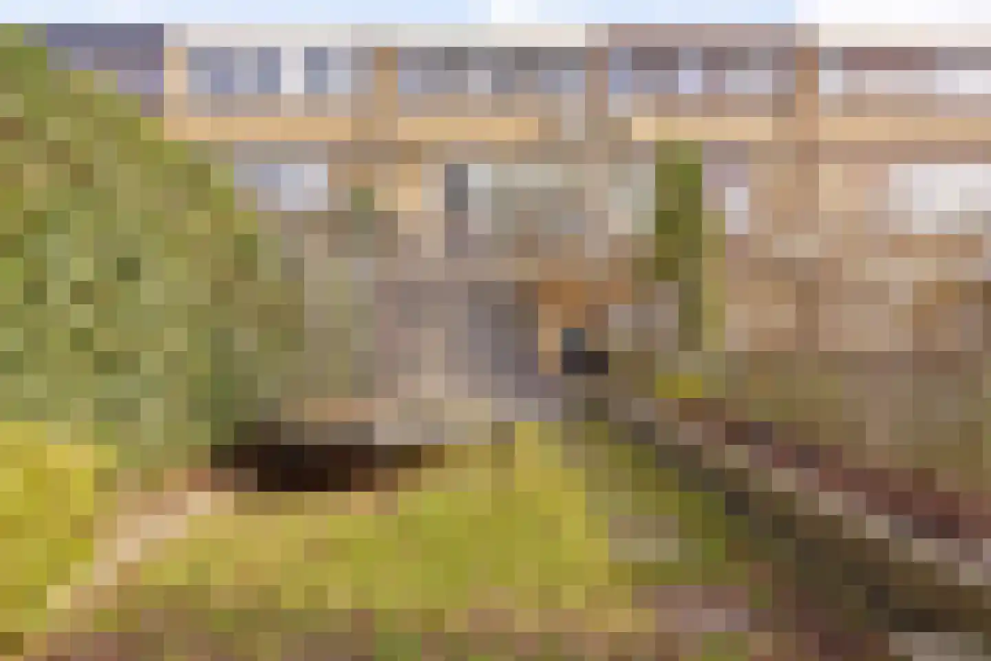Boksdoornstraat 29 Ridderkerk thumbnail 34
