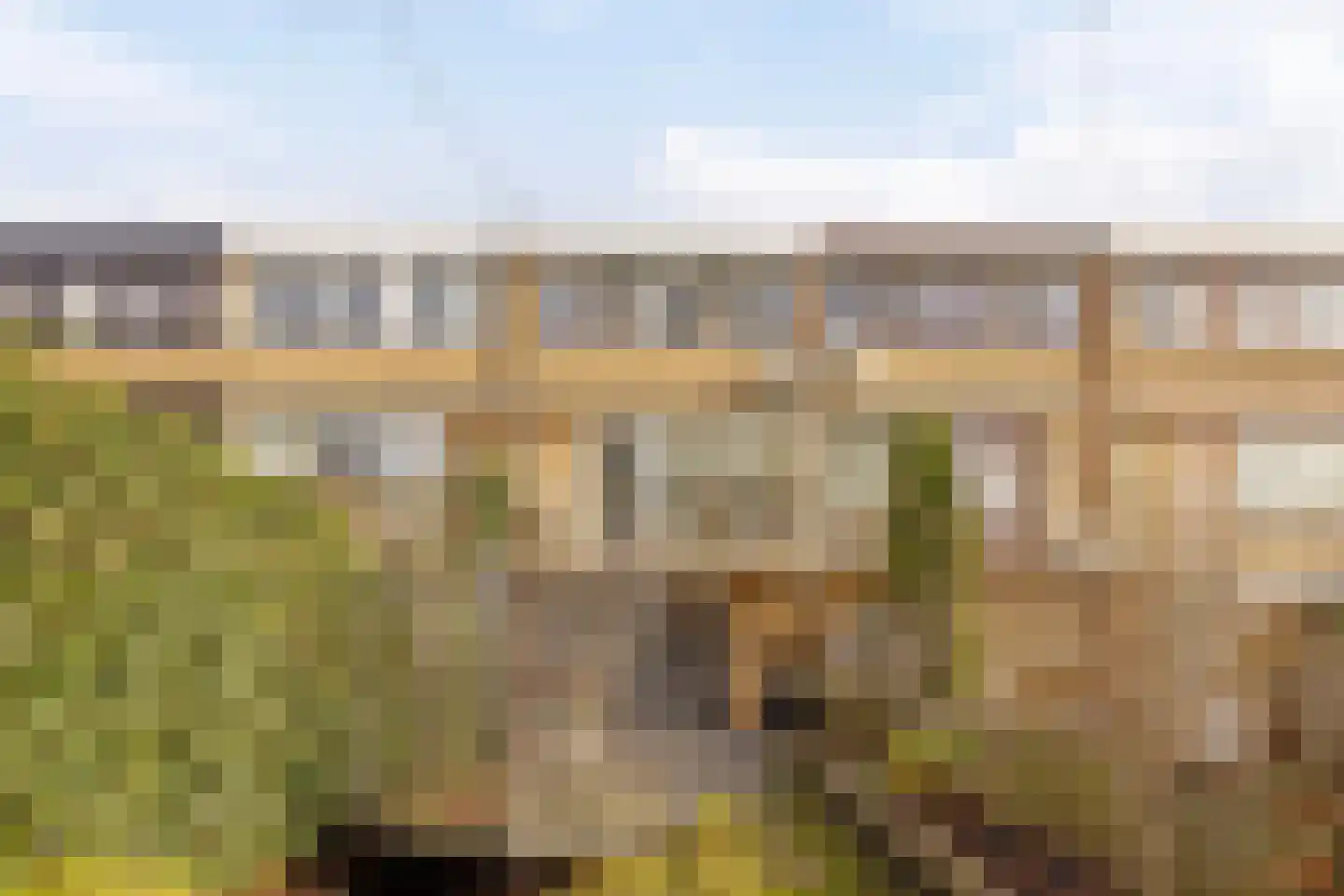 Boksdoornstraat 29 Ridderkerk thumbnail 35