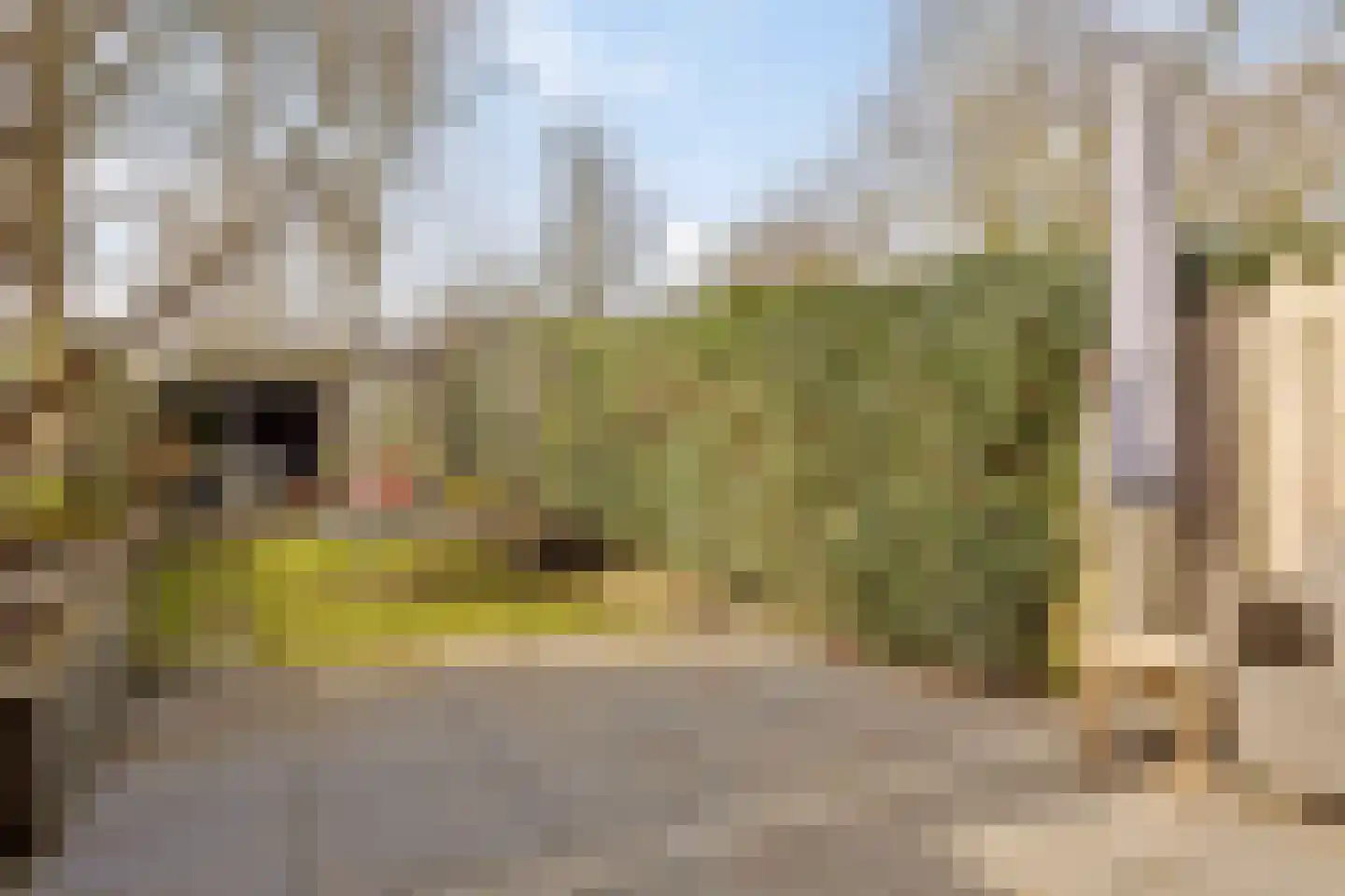 Boksdoornstraat 29 Ridderkerk thumbnail 36