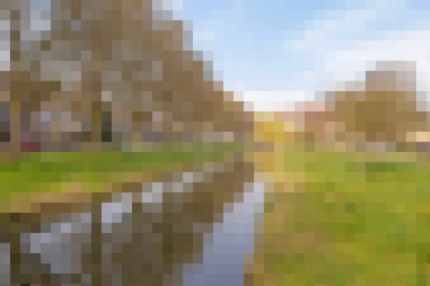 Boksdoornstraat 29 Ridderkerk thumbnail 39