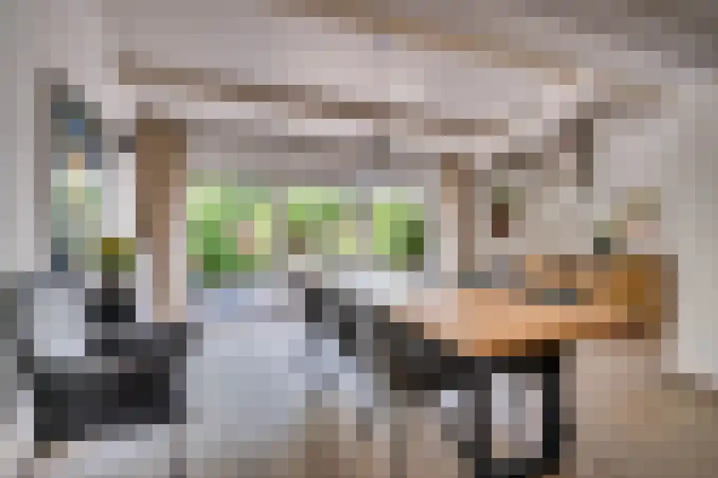 Boksdoornstraat 31 Venlo thumbnail 13