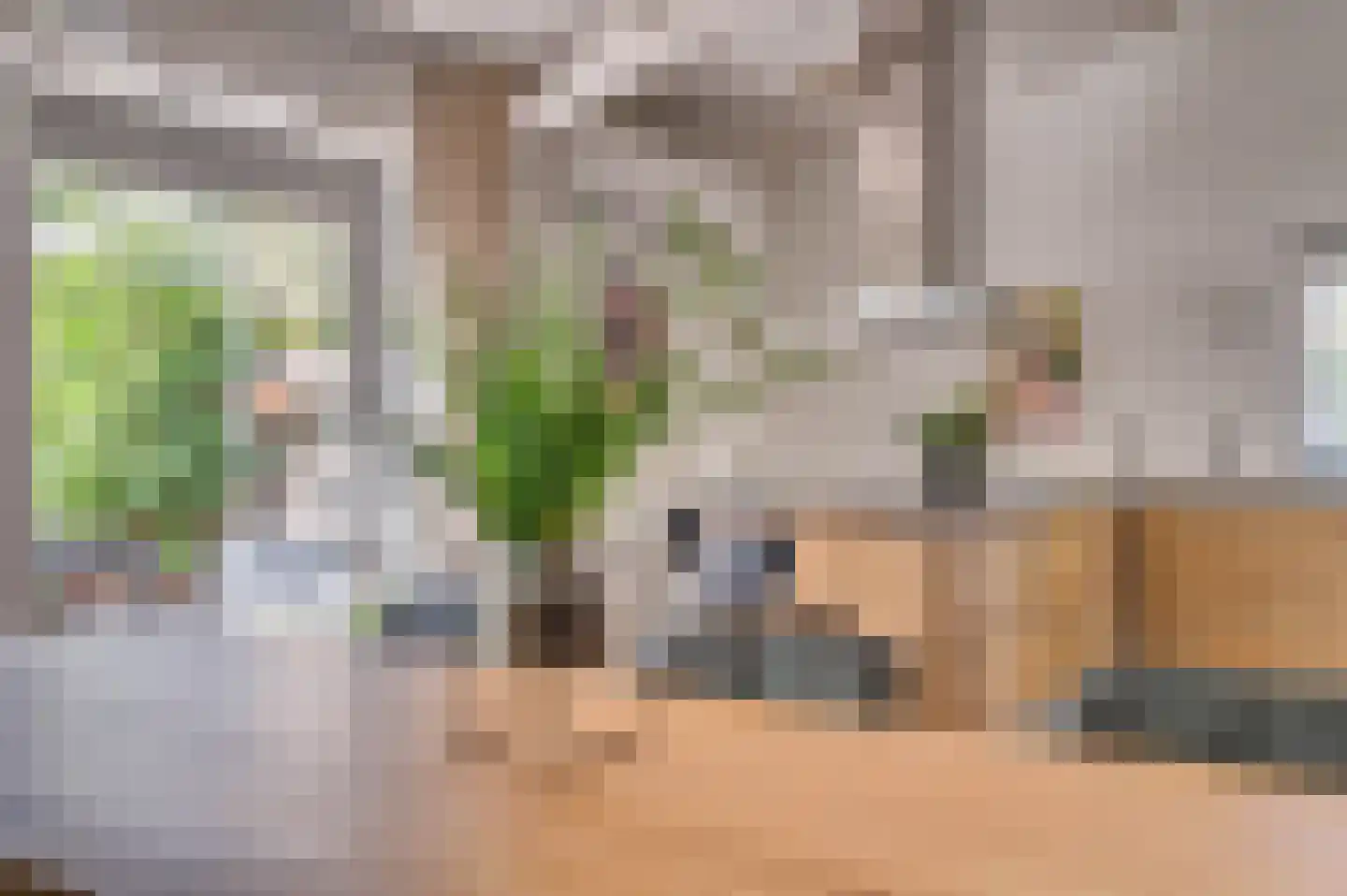 Boksdoornstraat 31 Venlo thumbnail 14