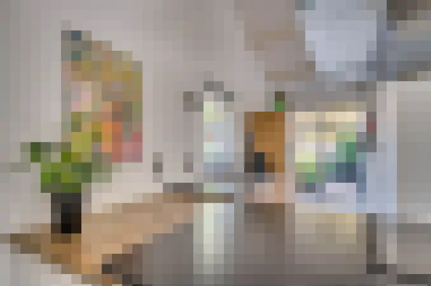Boksdoornstraat 31 Venlo thumbnail 18