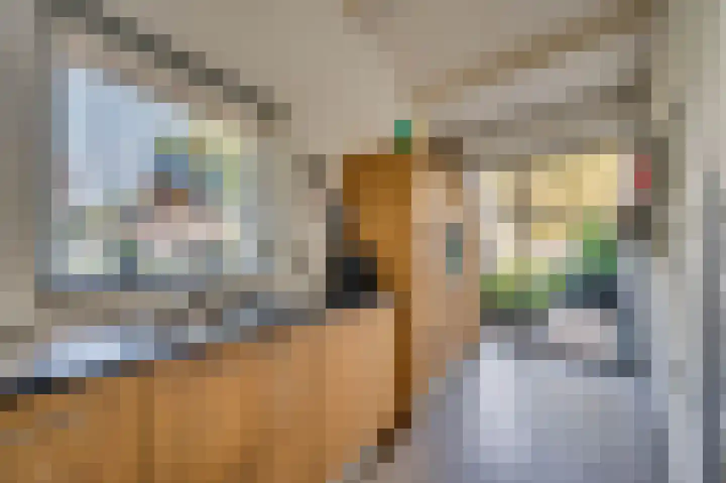 Boksdoornstraat 31 Venlo thumbnail 19