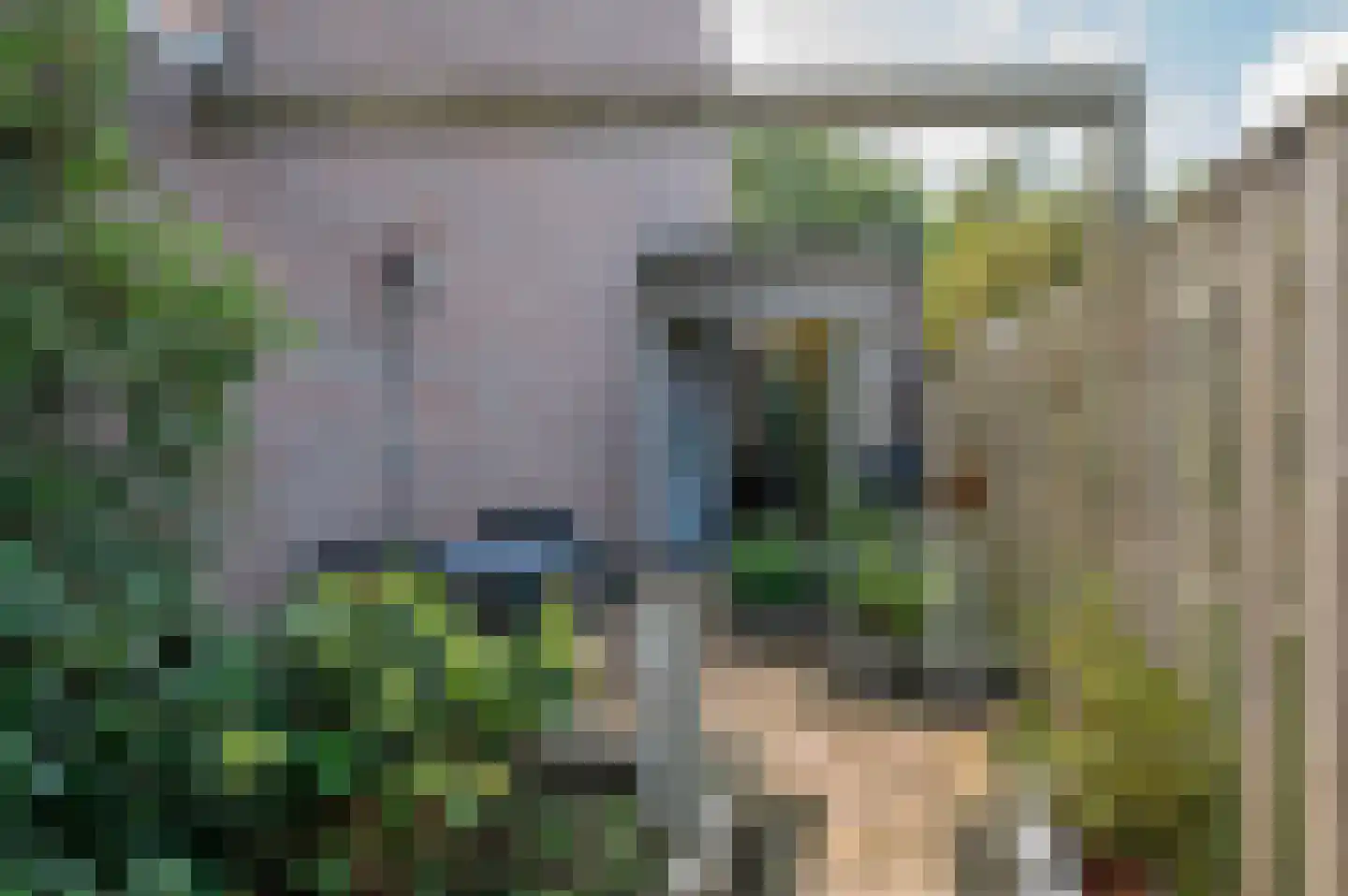 Boksdoornstraat 31 Venlo thumbnail 24