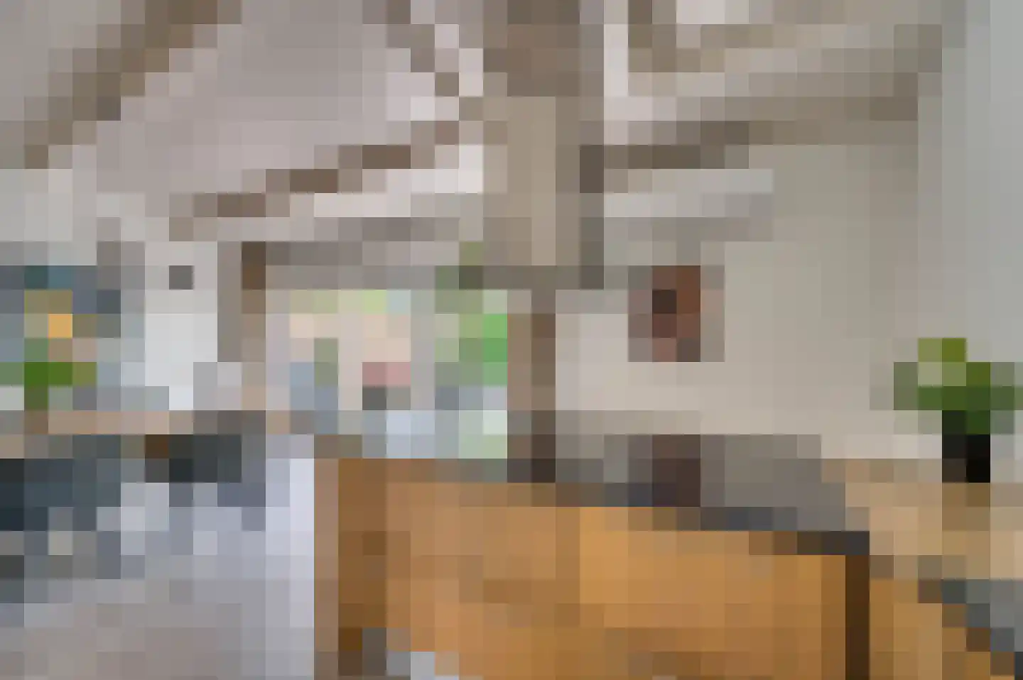 Boksdoornstraat 31 Venlo thumbnail 28