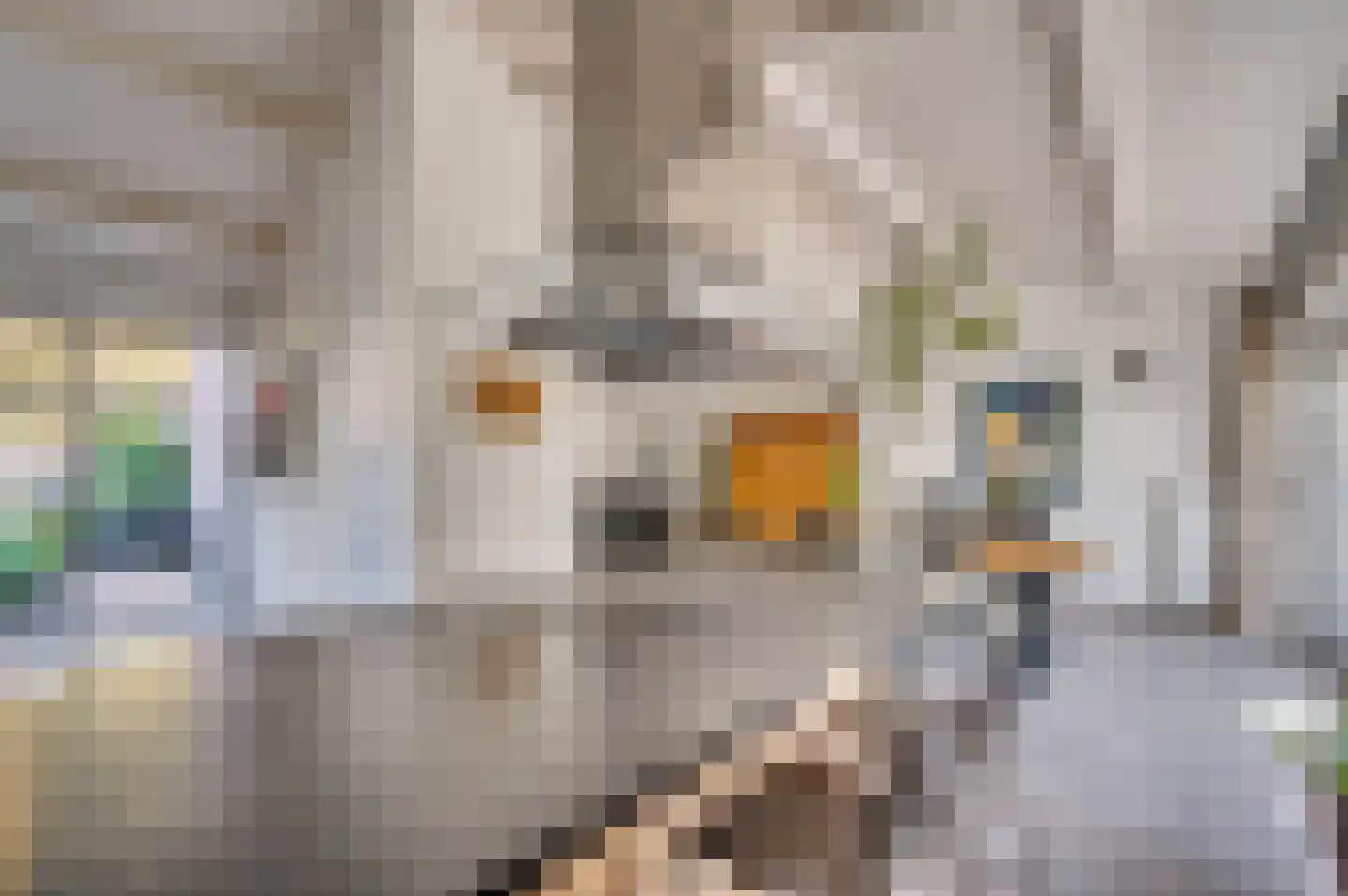 Boksdoornstraat 31 Venlo thumbnail 29
