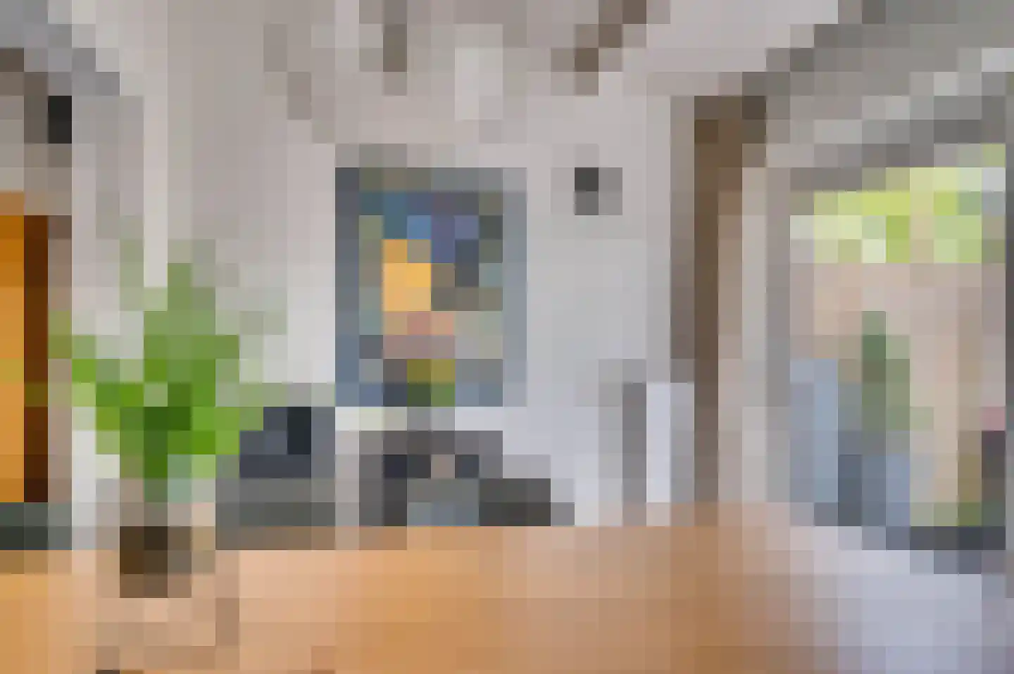 Boksdoornstraat 31 Venlo thumbnail 31