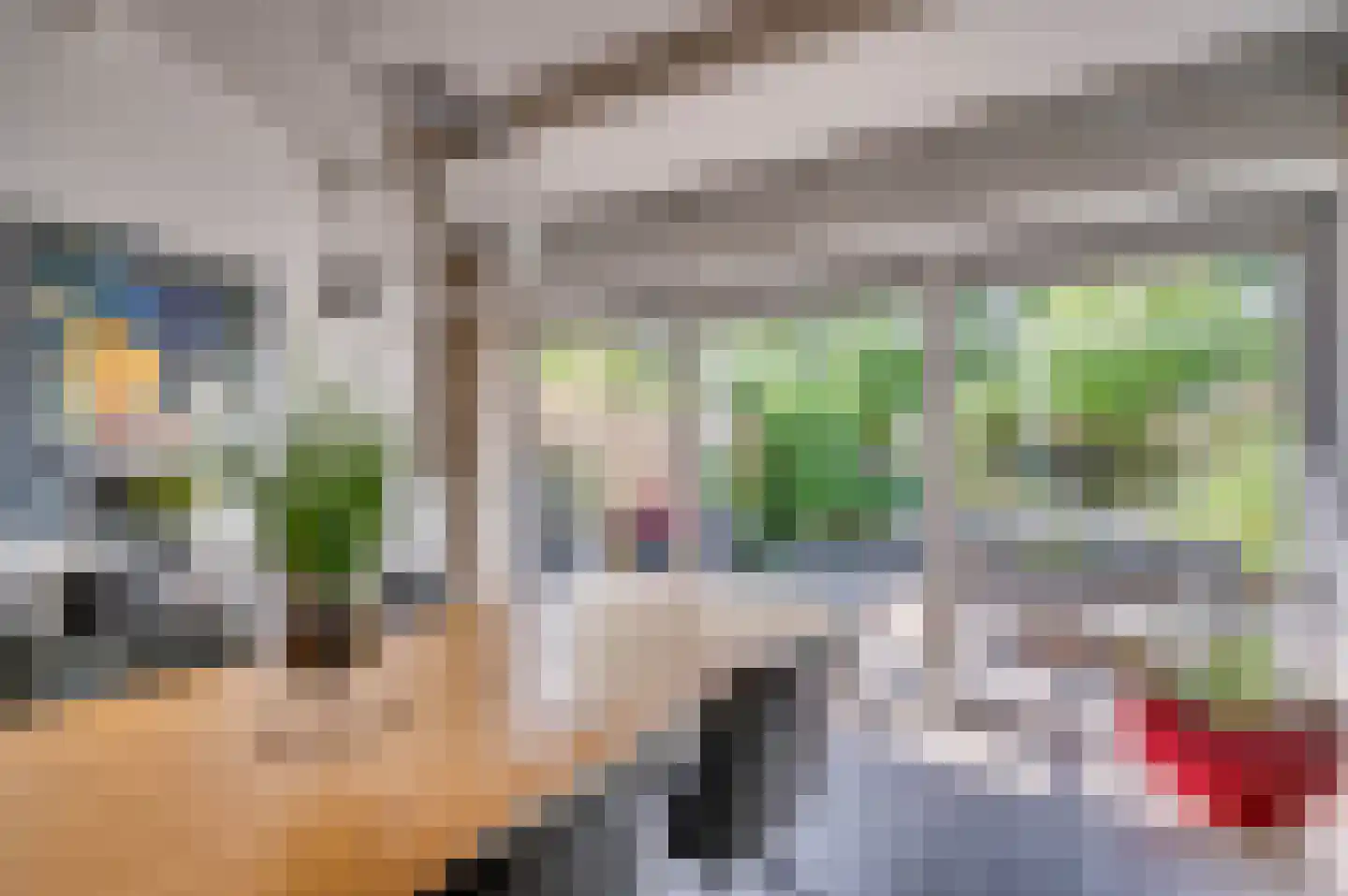 Boksdoornstraat 31 Venlo thumbnail 32