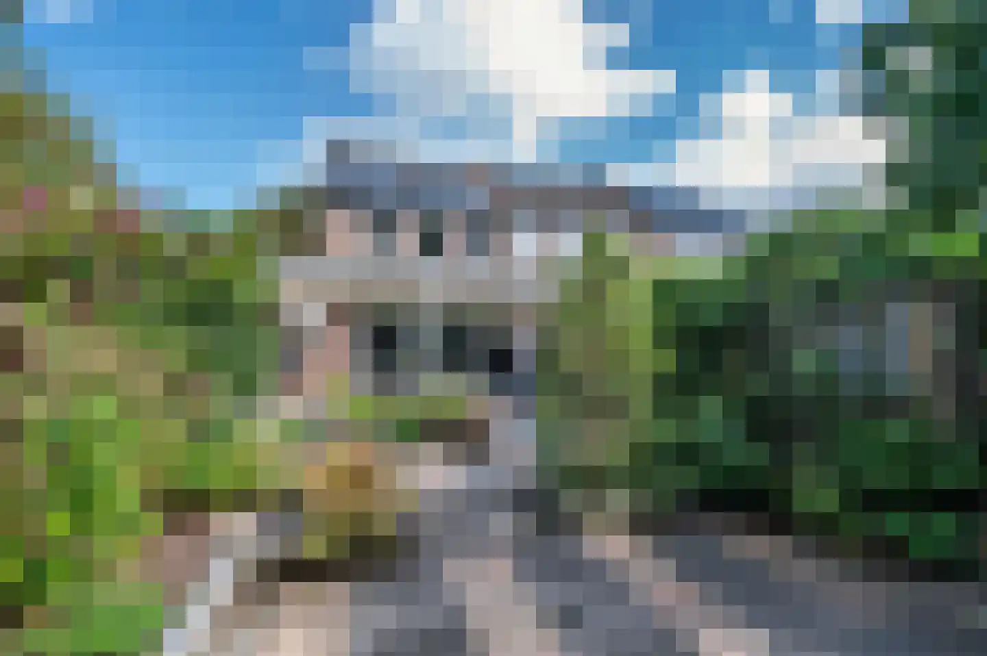 Boksdoornstraat 31 Venlo thumbnail 47