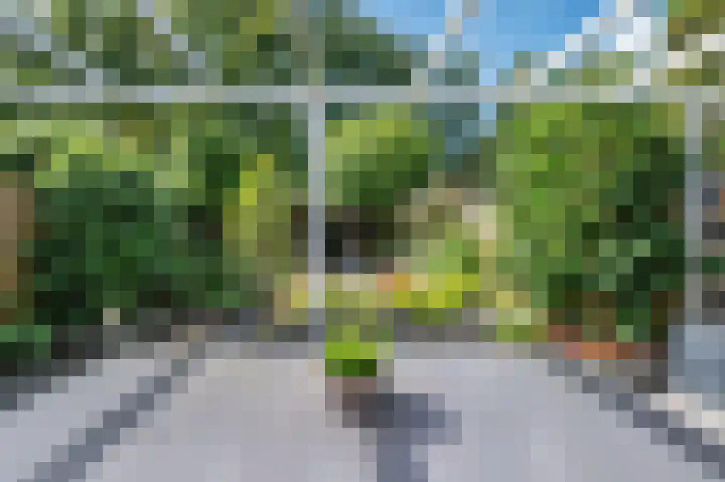 Boksdoornstraat 31 Venlo thumbnail 51