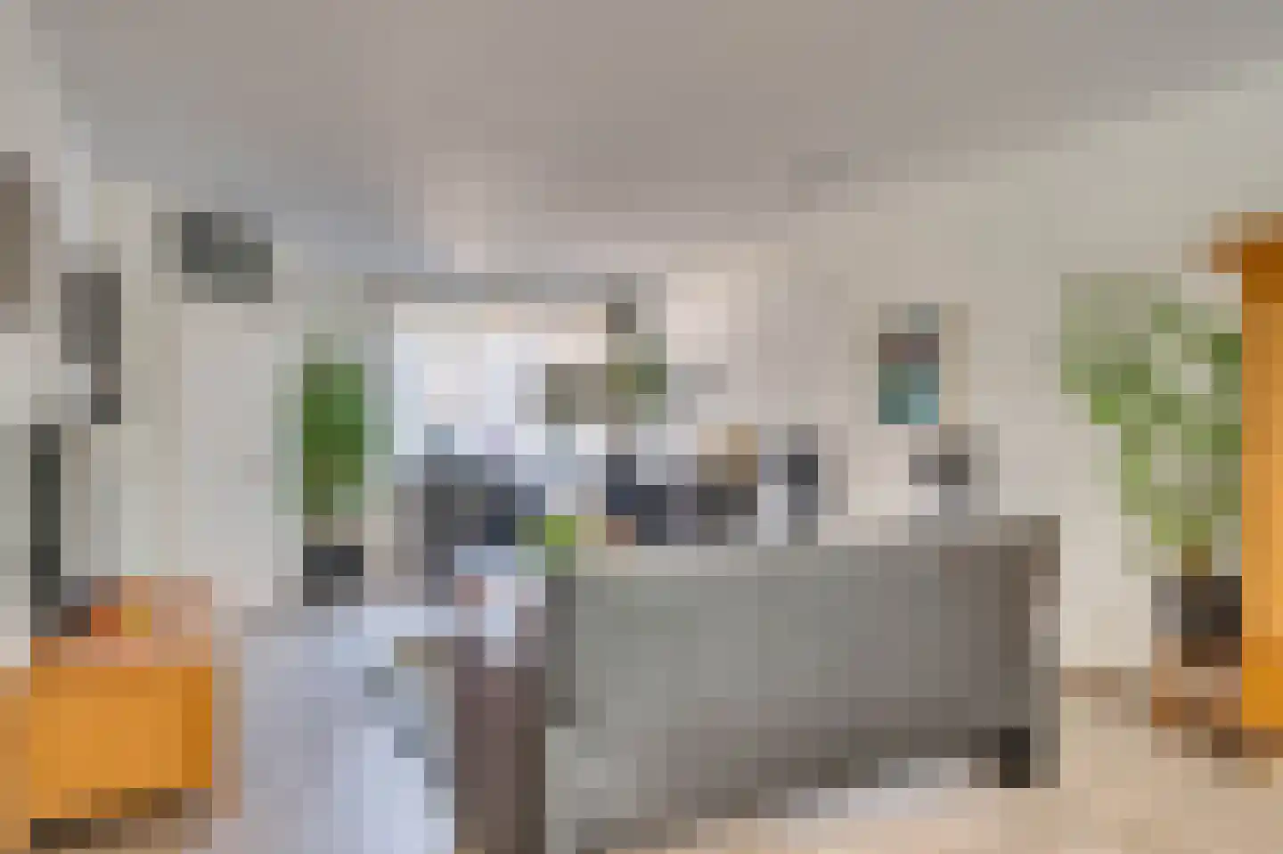 Boksdoornstraat 31 Venlo thumbnail 7