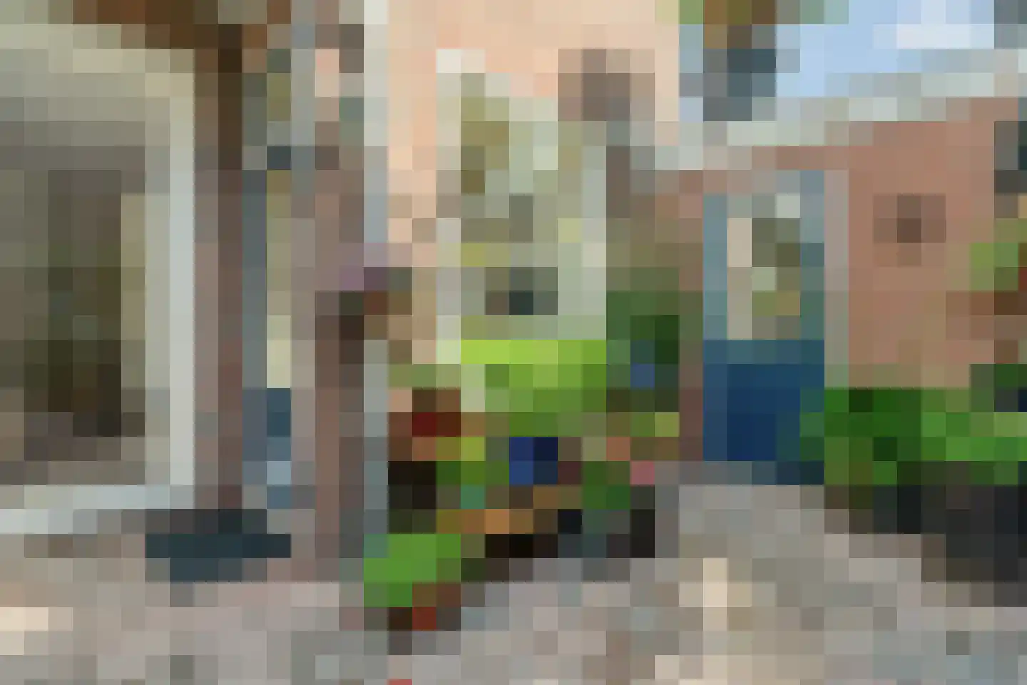 Boksdoornstraat 56 Den Haag thumbnail 53
