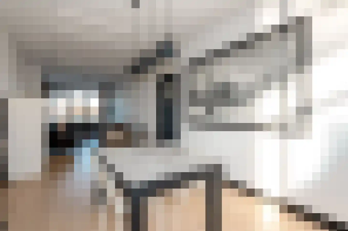 Boksdoornstraat 6 Den Haag thumbnail 17