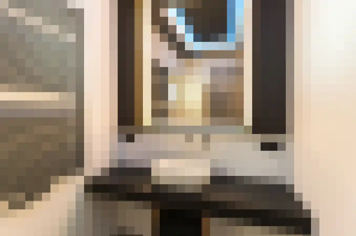 Boksdoornstraat 6 Den Haag thumbnail 4