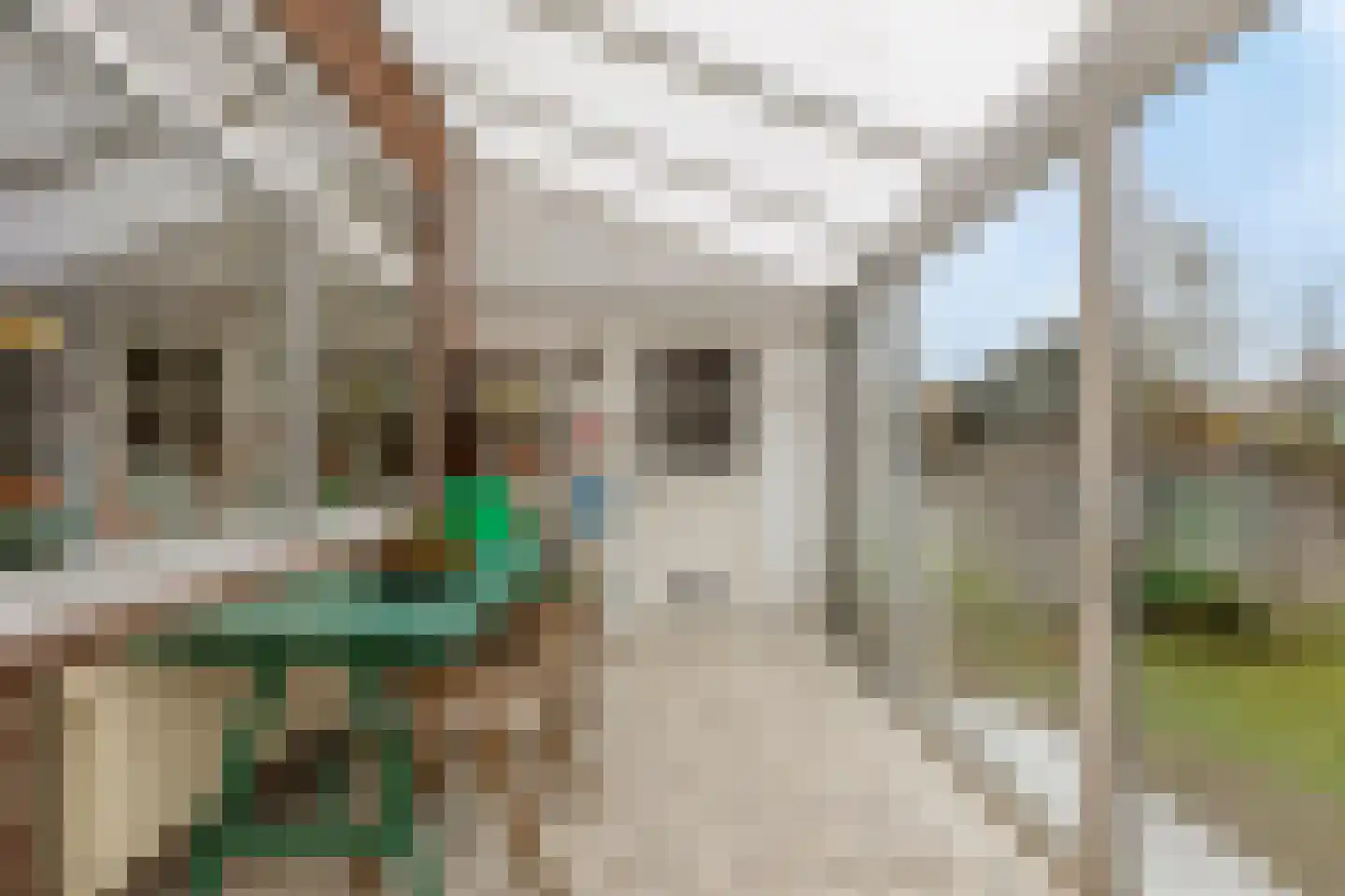 Boksdoornstraat 66 Nijmegen thumbnail 41