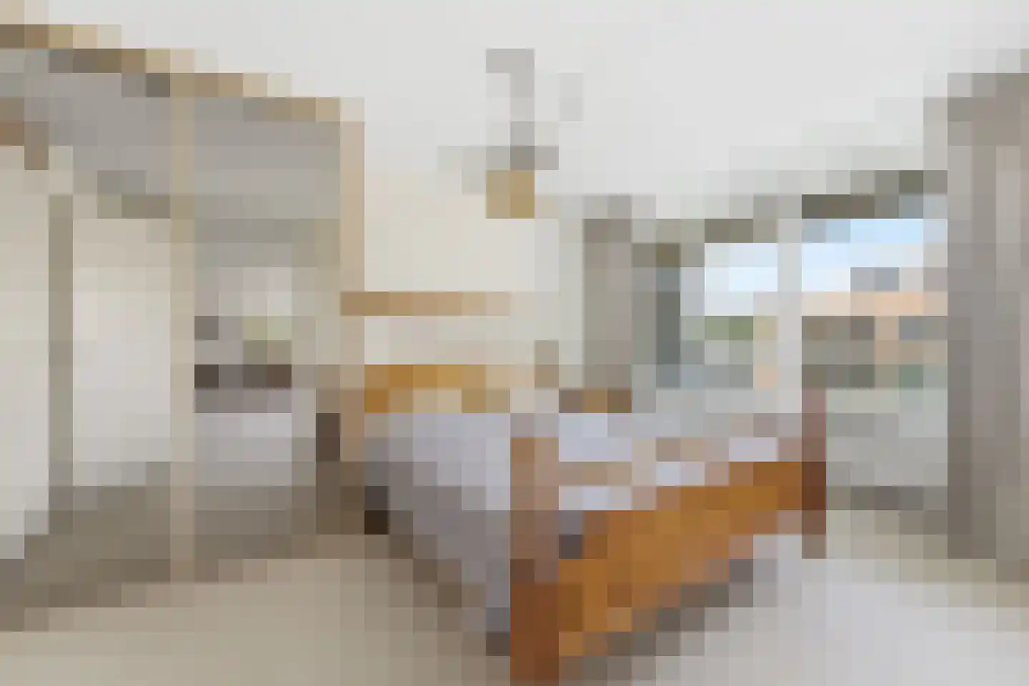Boksdoornstraat 66 Ridderkerk thumbnail 18