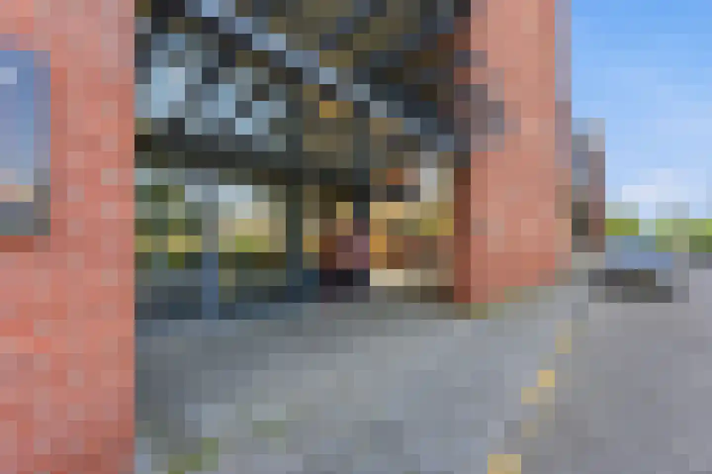 Boksdoornstraat 66 Ridderkerk thumbnail 32